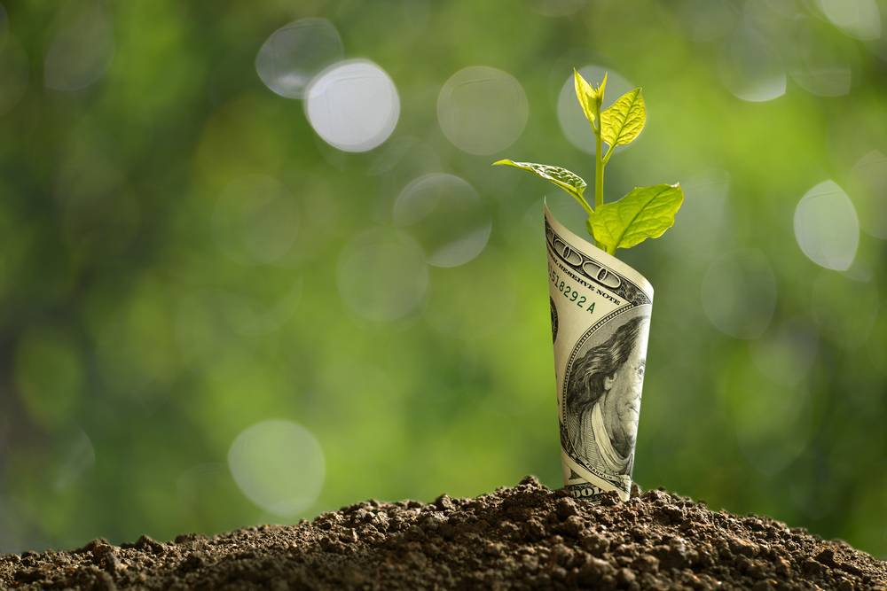 Sprout wrapped in a one-hundred dollar bill coming out of the ground